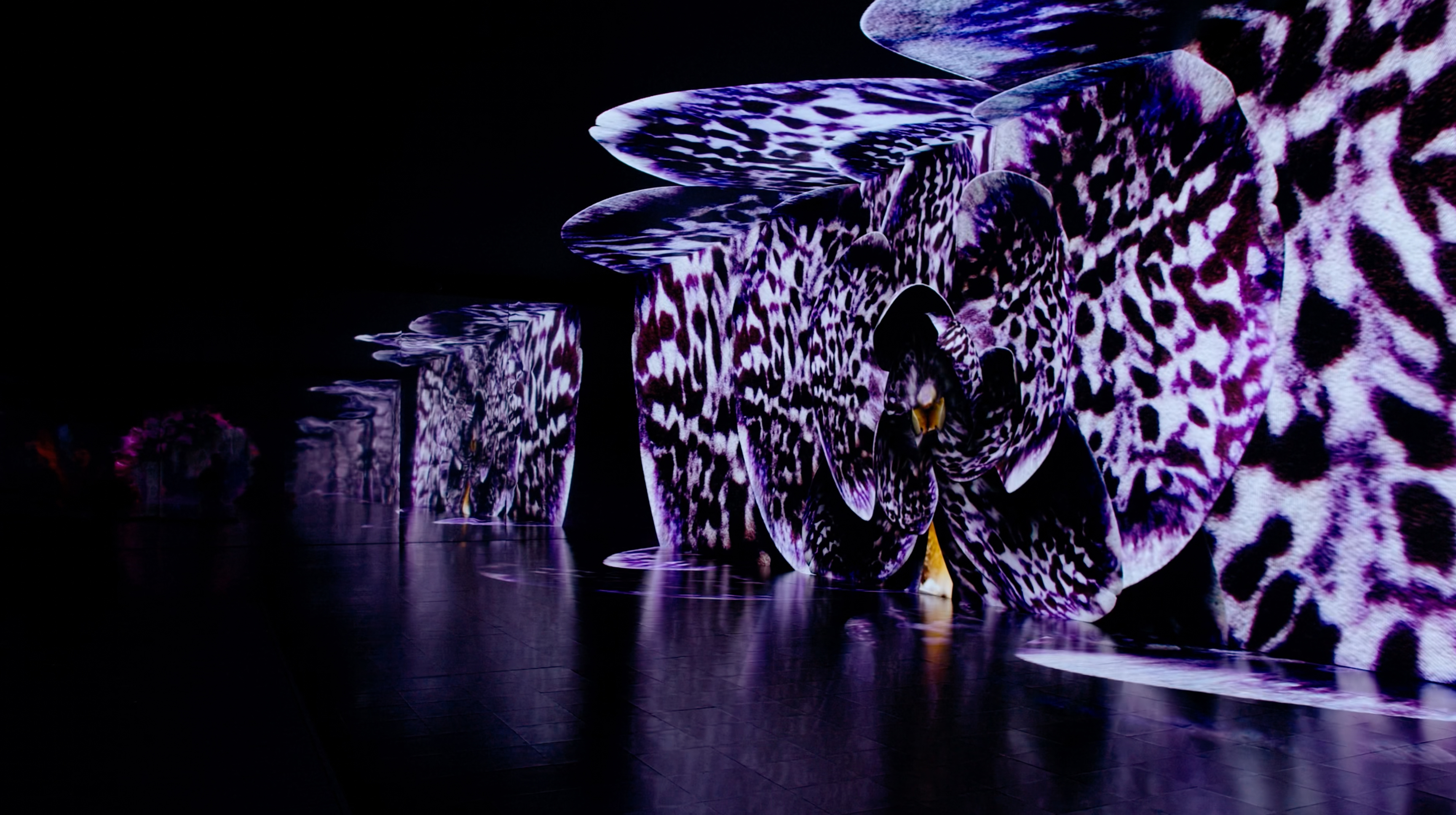 Projectors on the walls of Genesis House New York of purple orchids, from the exhibition Bloomtanica, made in collaboration with Blackspace GmbH and Jeff Leatham.